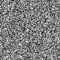 White Noise 05