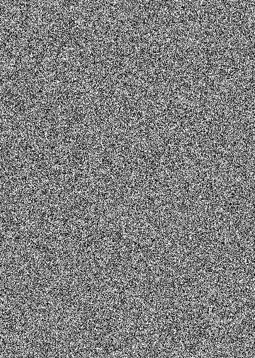 White Noise 08